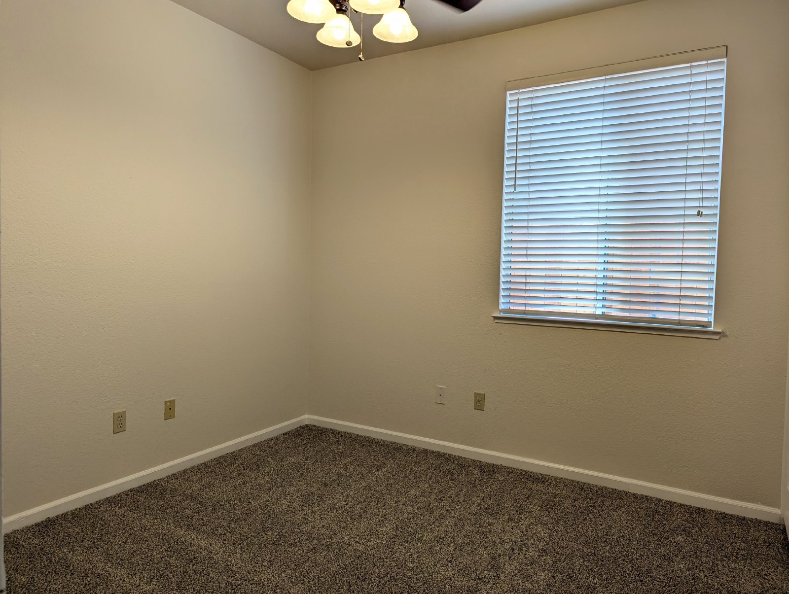 Roseville Single Story property image